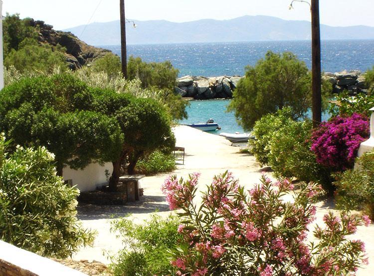 Elia Apartments Agios Romanos Zewnętrze zdjęcie